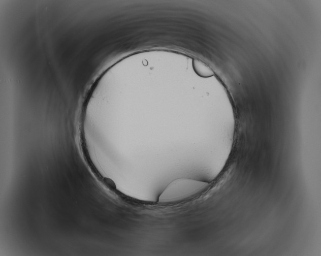 X0000087041525200705160917