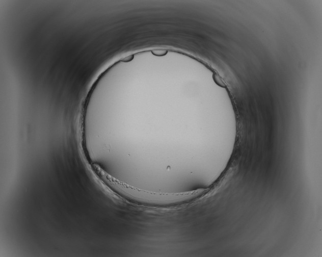 X0000087041526200705160917