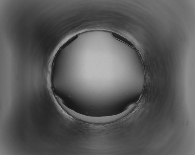 X0000087041528200705160917