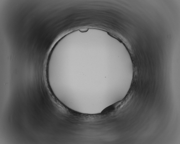 X0000087041530200705160918