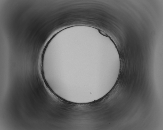 X0000087041531200705160918