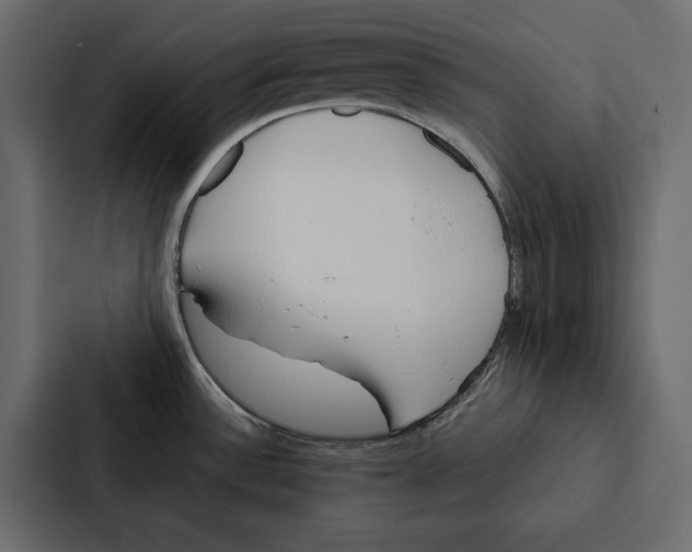 X0000087041532200705160918