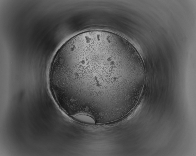 X0000087041533200705160918