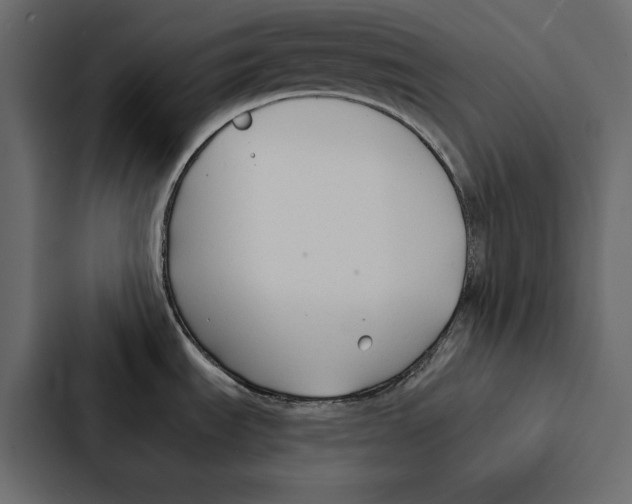 X0000087041535200705160918