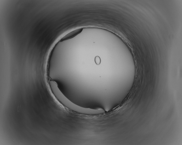 X0000087041536200705160918