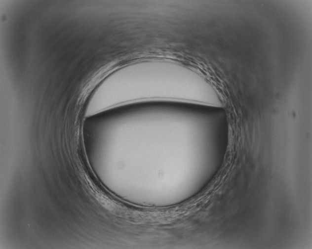X0000087050005200704181014
