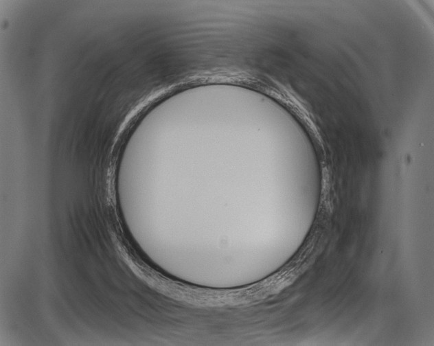 X0000087050012200704181013