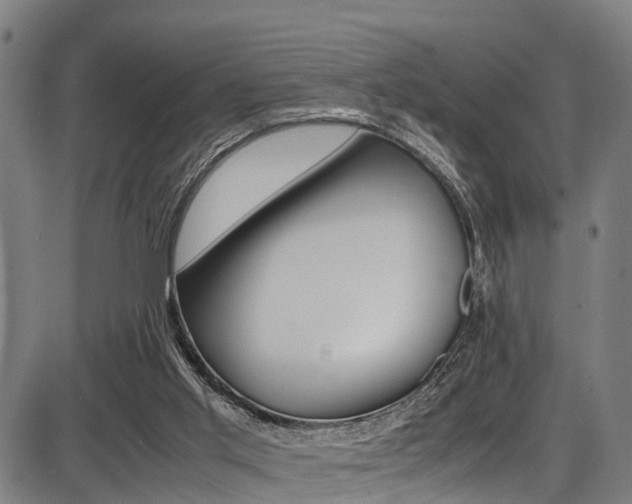 X0000087050013200704181013