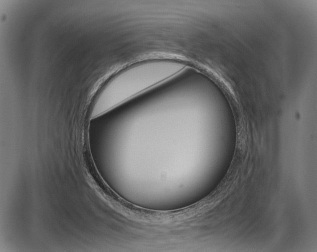 X0000087050015200704181013