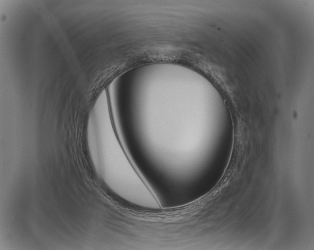 X0000087050017200704181013