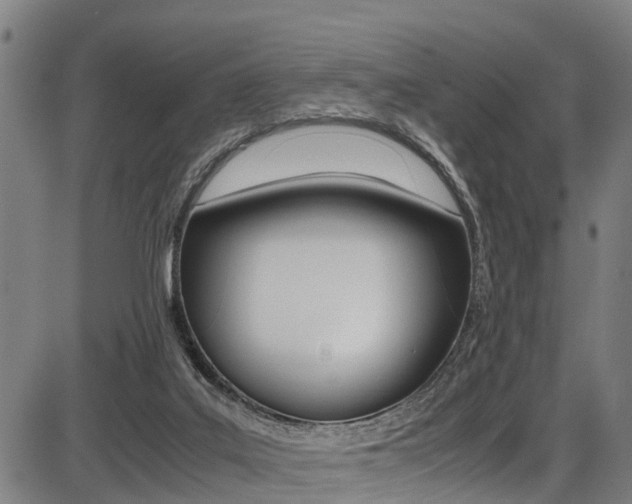 X0000087050019200704181013