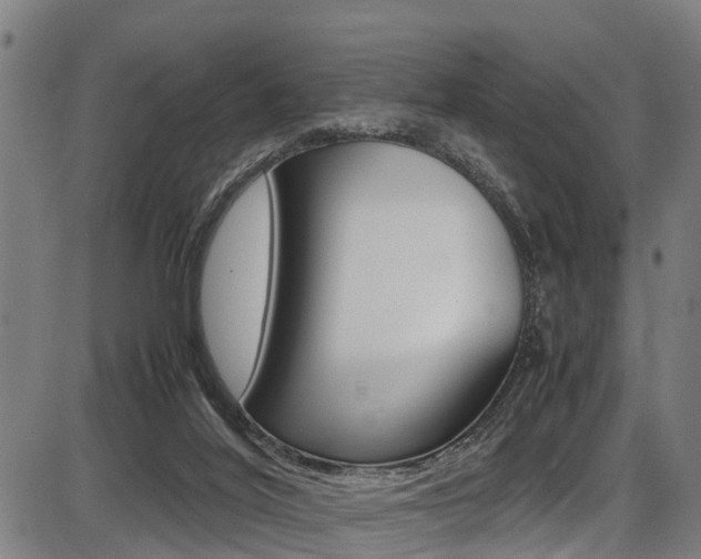 X0000087050020200704181013