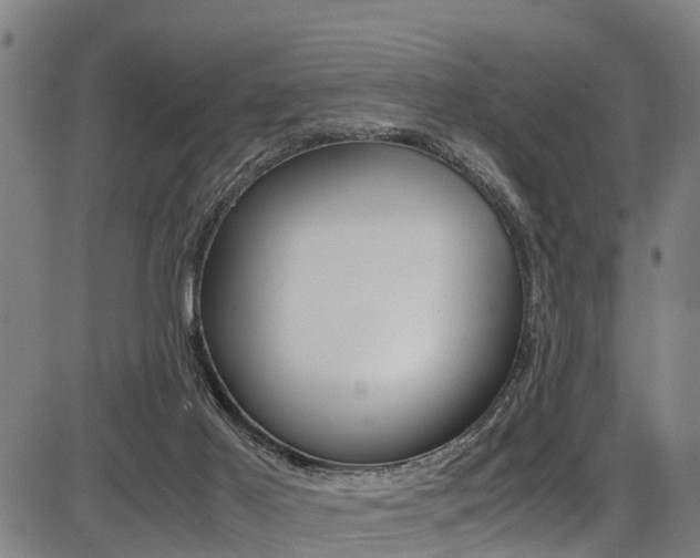 X0000087050021200704181013