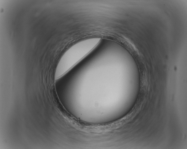 X0000087050025200704181013