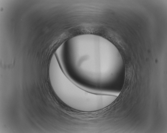 X0000087050027200704181013