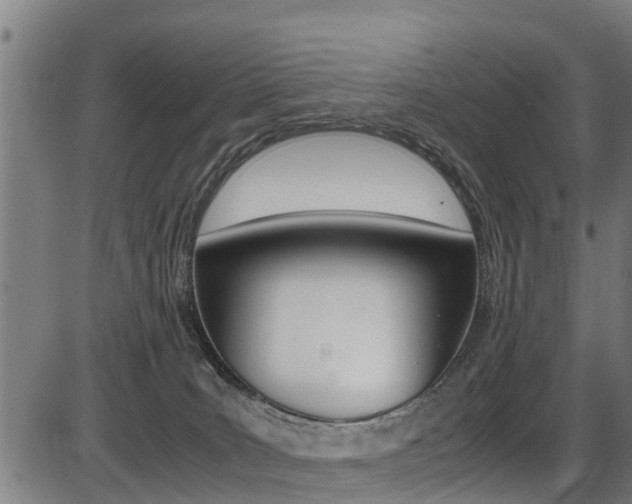 X0000087050035200704181013