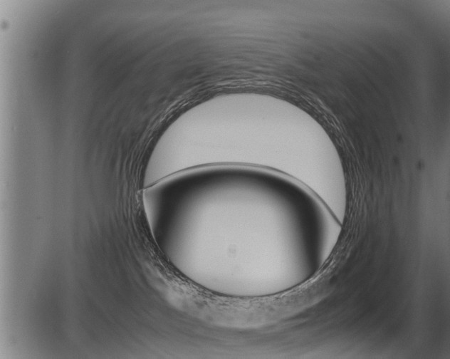X0000087050045200704181013