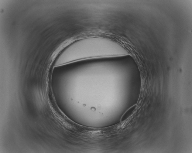 X0000087050054200704181012