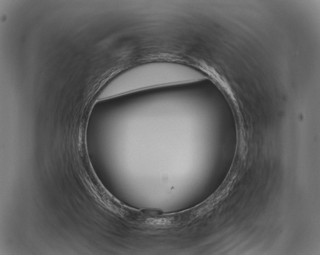X0000087050057200704181012