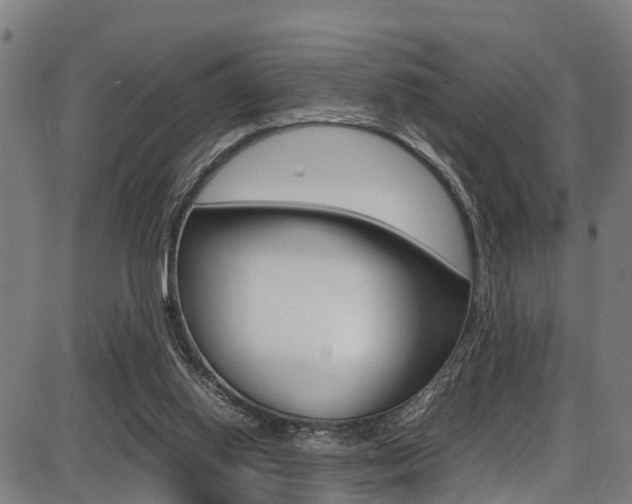 X0000087050062200704181012