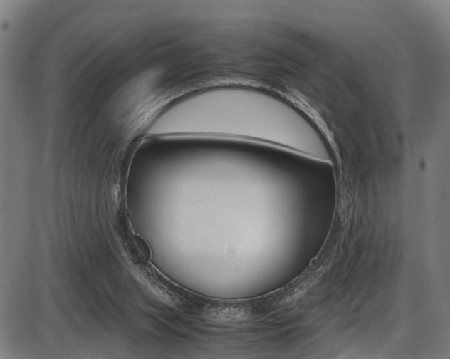 X0000087050063200704181012