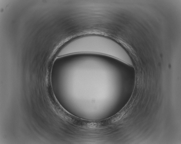 X0000087050064200704181012