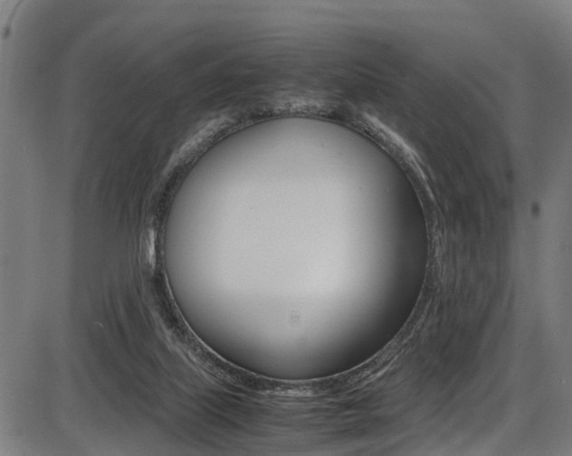 X0000087050067200704181012