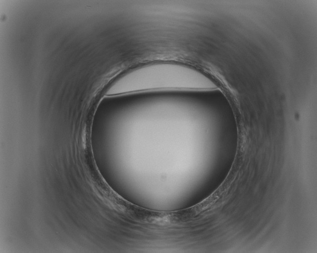 X0000087050068200704181012
