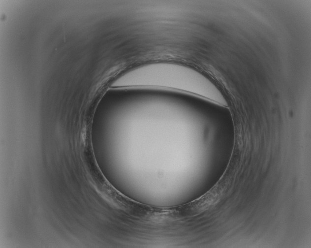 X0000087050072200704181012