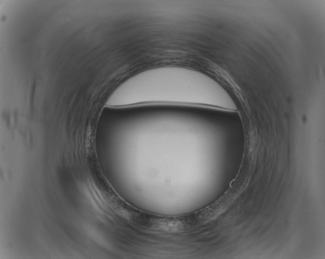 X0000087050073200704181012