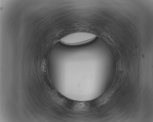 X0000087050083200704181013