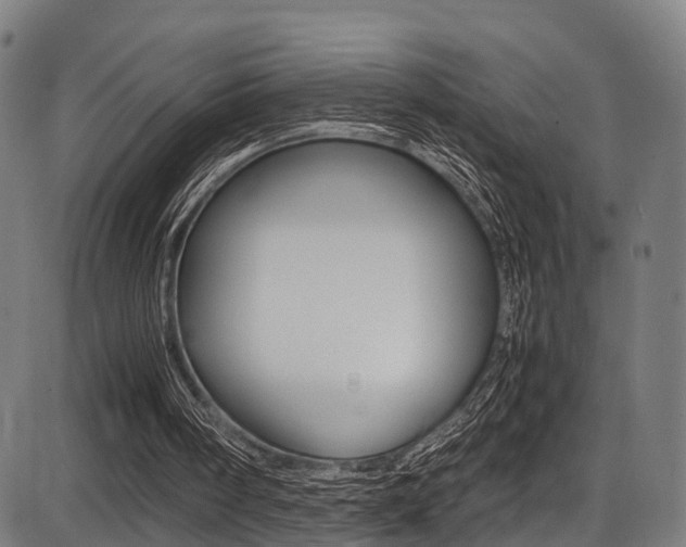 X0000087050098200704181012