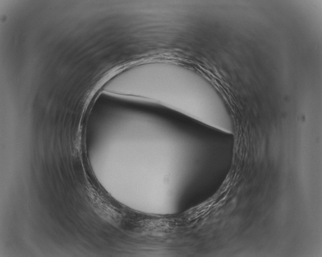 X0000087050100200704181012
