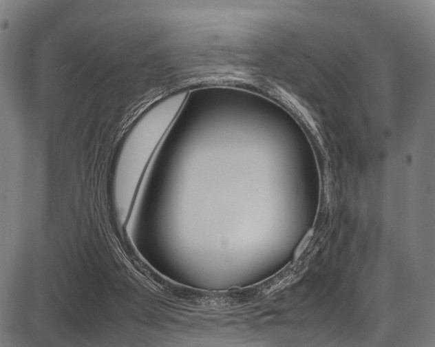 X0000087050105200704181012
