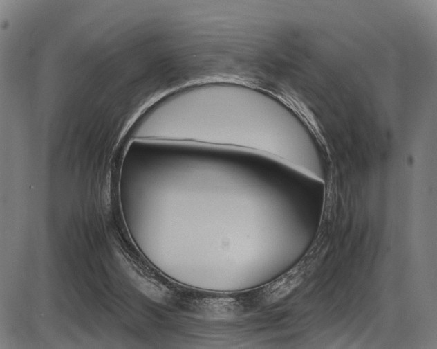 X0000087050108200704181012