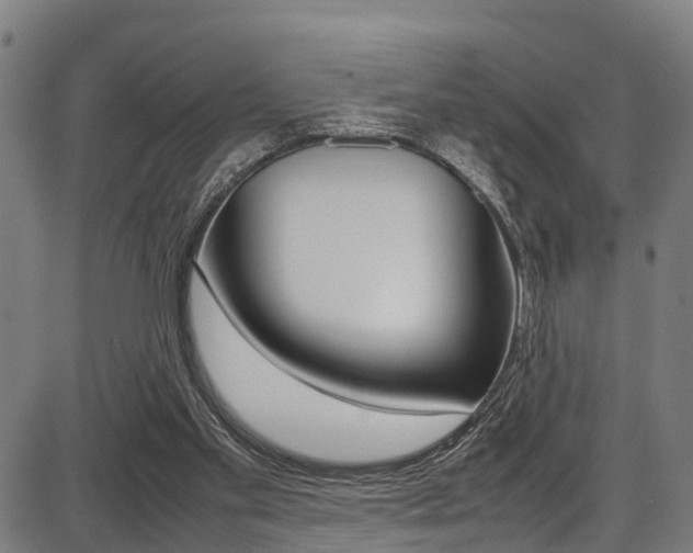 X0000087050109200704181012