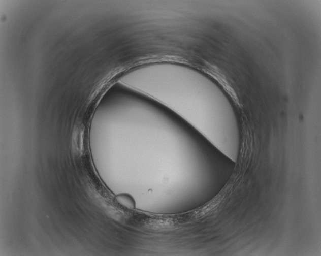 X0000087050110200704181012