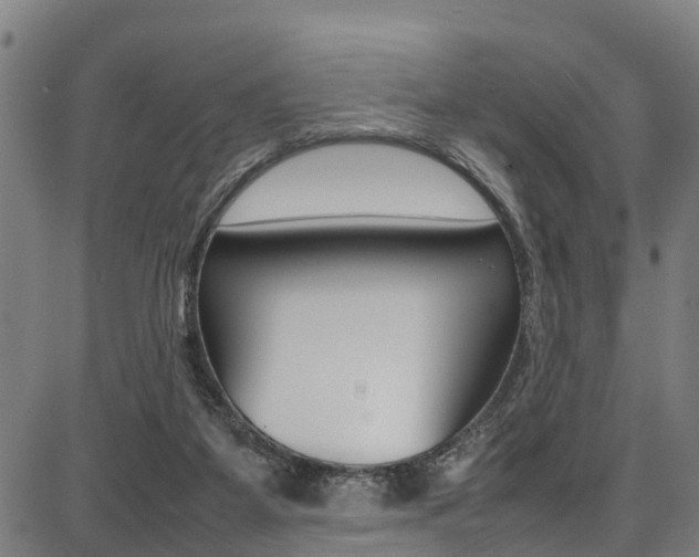 X0000087050115200704181012