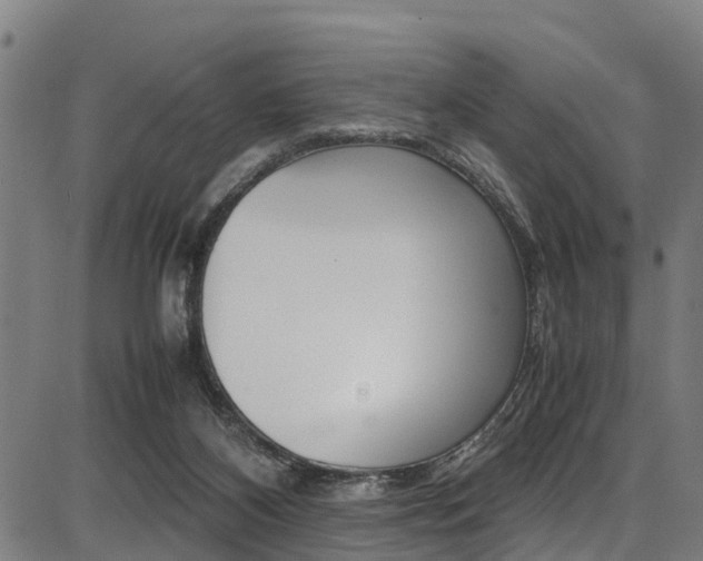 X0000087050116200704181012