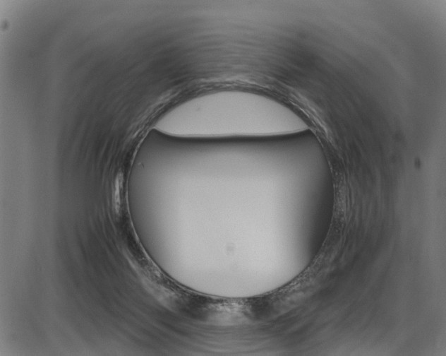 X0000087050118200704181012