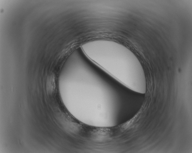 X0000087050128200704181012
