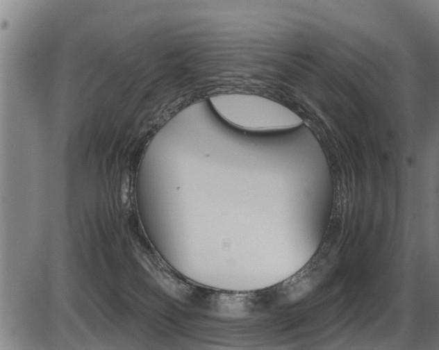 X0000087050134200704181011