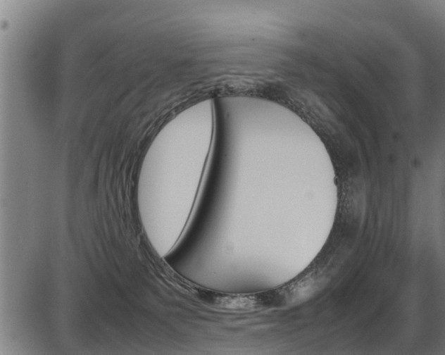 X0000087050135200704181011
