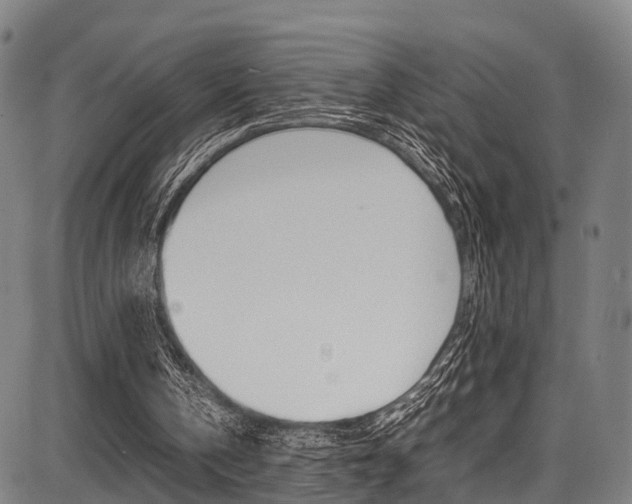 X0000087050146200704181011