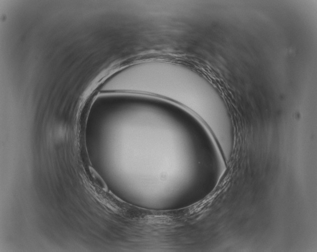X0000087050150200704181011