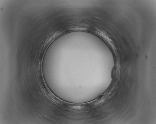 X0000087050153200704181011