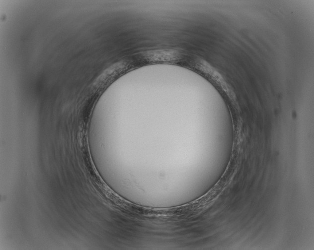 X0000087050161200704181011