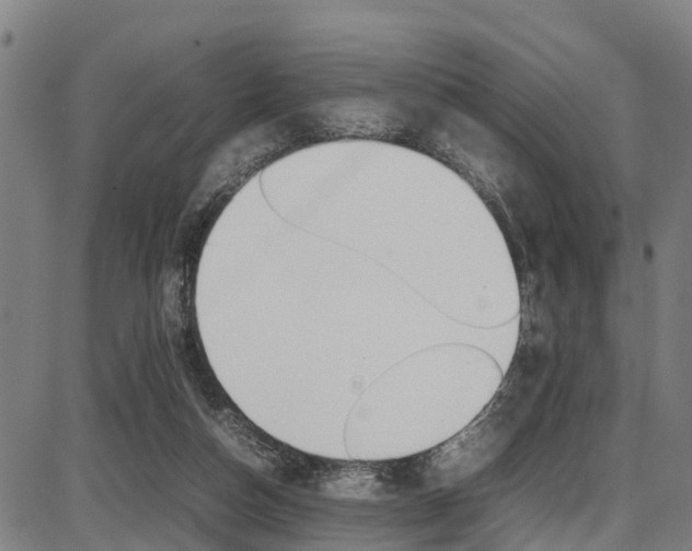 X0000087050162200704181011