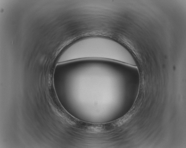 X0000087050164200704181011