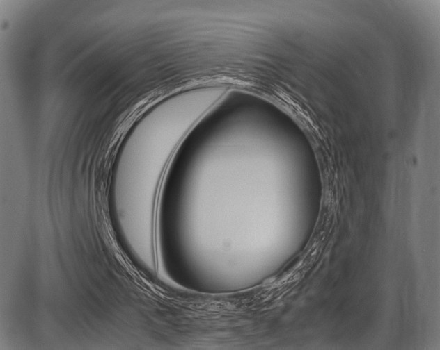 X0000087050193200704181011